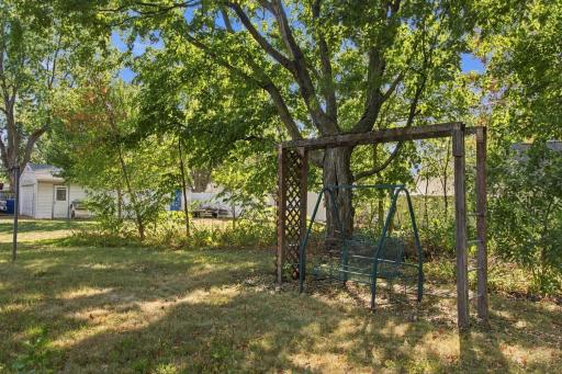 Backyard. Open lawn beneath mature shade trees.