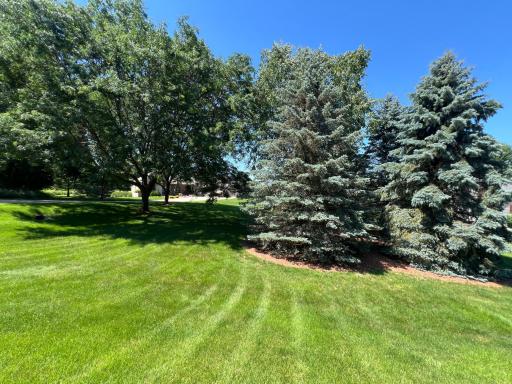 7005 Halifax Lane NW, Rochester, MN 55901