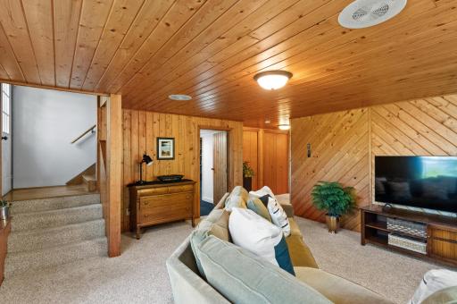 8590 Sara Road NW, Brandon, MN 56315