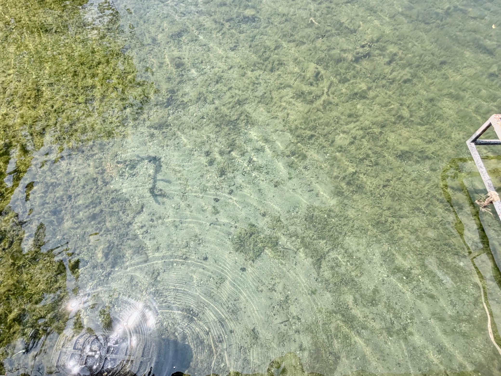 IMG_0258.jpeg