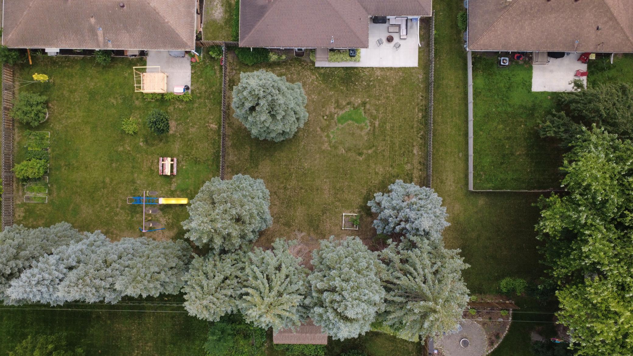 DJI_0087.JPG
