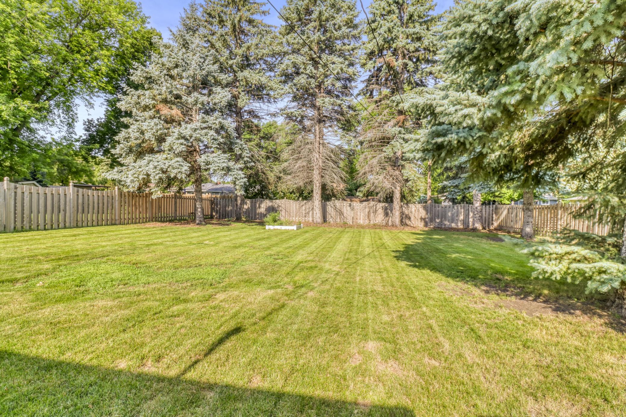 Backyard1_3.JPG