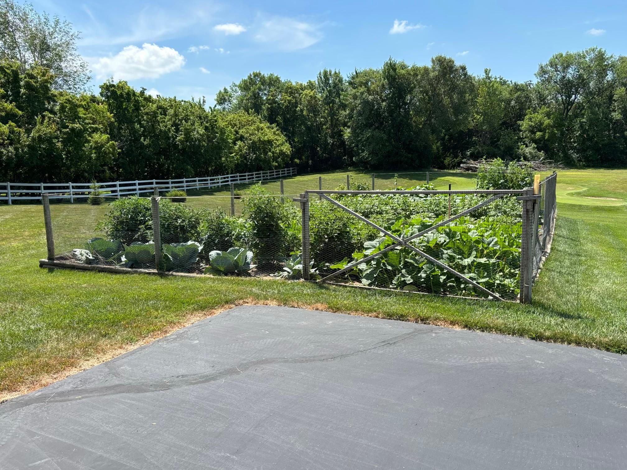 Large garden space