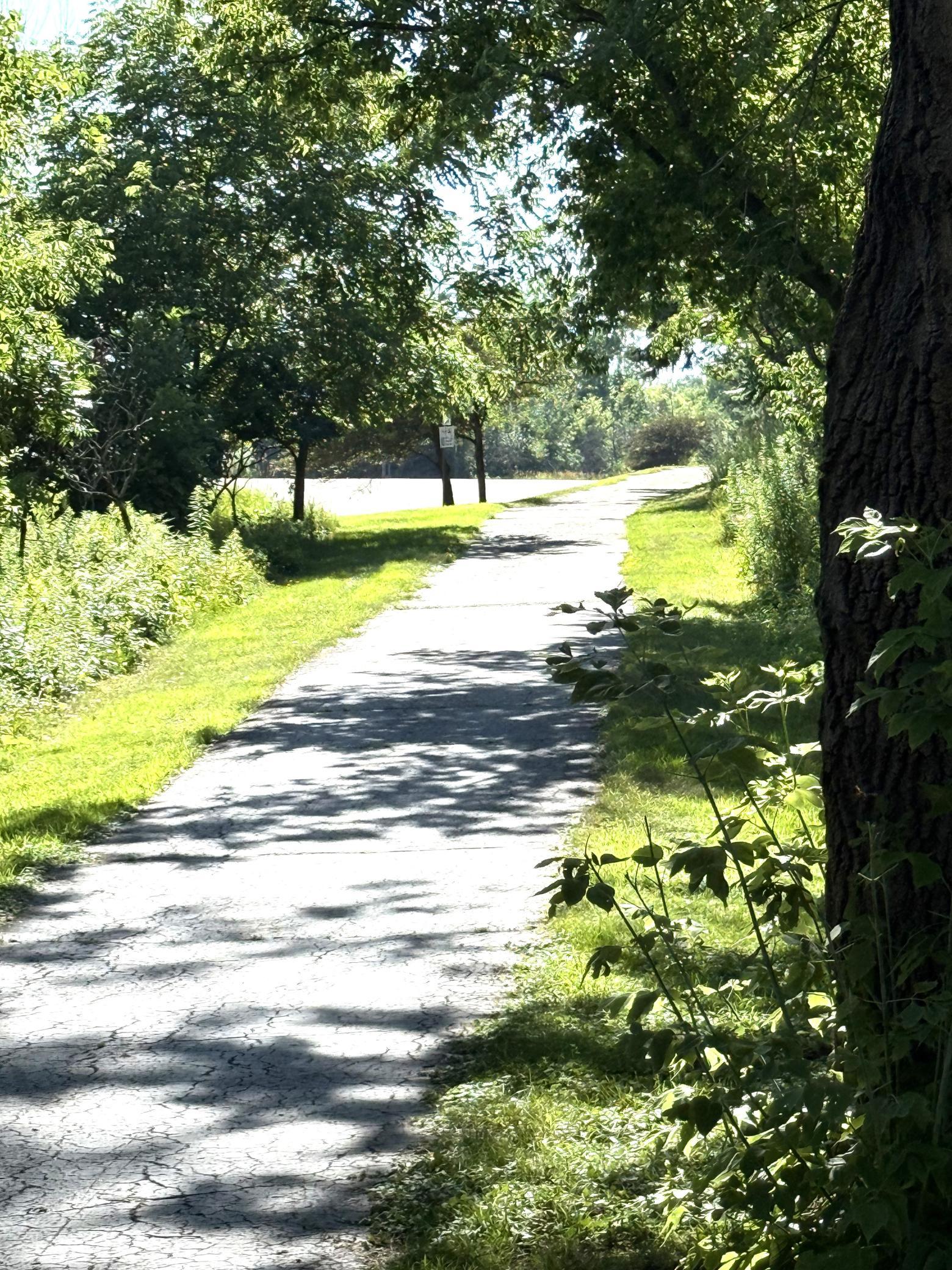 Walking Trails