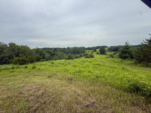 tbd 590th Street, Kellogg, MN 55964