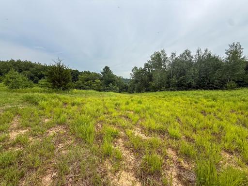tbd 590th Street, Kellogg, MN 55964