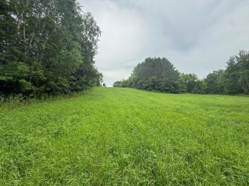 tbd 590th Street, Kellogg, MN 55964