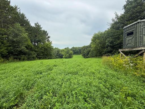 tbd 590th Street, Kellogg, MN 55964