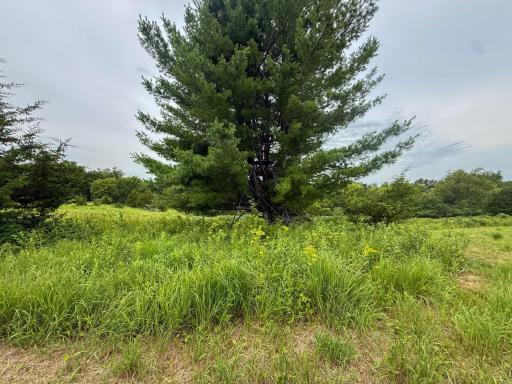 tbd 590th Street, Kellogg, MN 55964