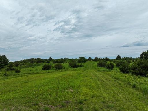 tbd 590th Street, Kellogg, MN 55964