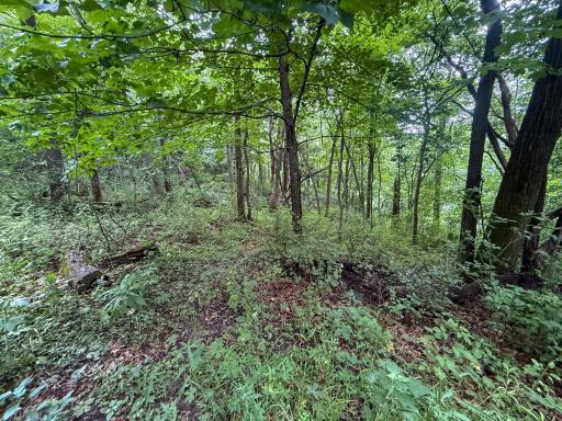 tbd 590th Street, Kellogg, MN 55964