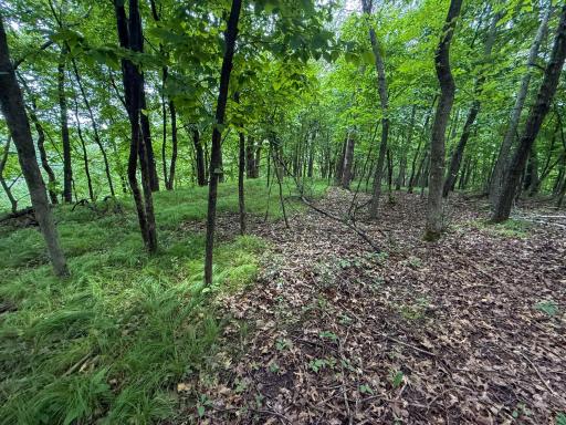 tbd 590th Street, Kellogg, MN 55964