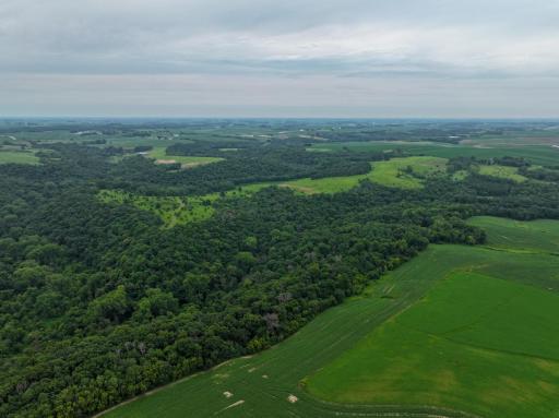 tbd 590th Street, Kellogg, MN 55964