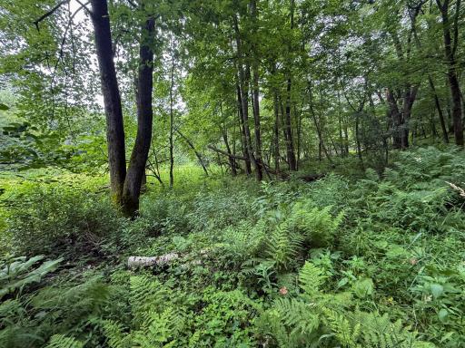 tbd 590th Street, Kellogg, MN 55964