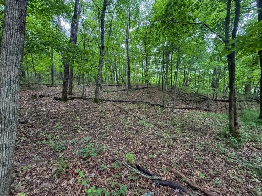 tbd 590th Street, Kellogg, MN 55964