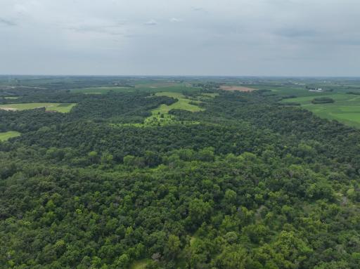 tbd 590th Street, Kellogg, MN 55964