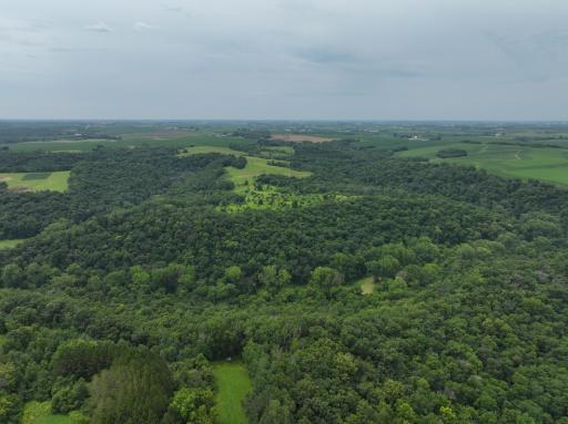 tbd 590th Street, Kellogg, MN 55964