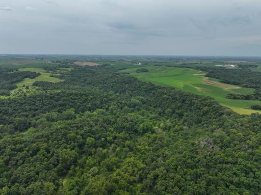 tbd 590th Street, Kellogg, MN 55964