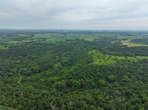 tbd 590th Street, Kellogg, MN 55964