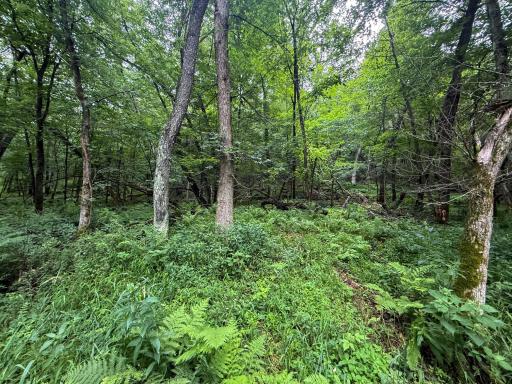 tbd 590th Street, Kellogg, MN 55964