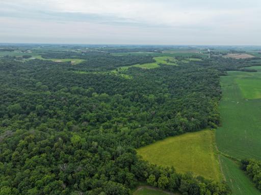 tbd 590th Street, Kellogg, MN 55964