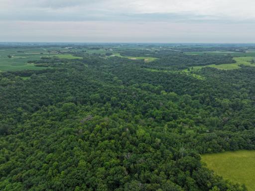 tbd 590th Street, Kellogg, MN 55964