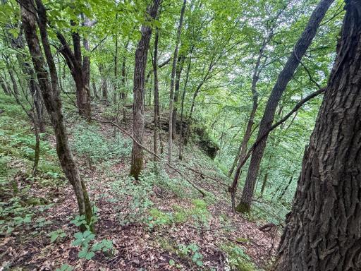 tbd 590th Street, Kellogg, MN 55964