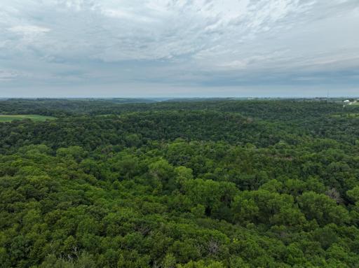 tbd 590th Street, Kellogg, MN 55964