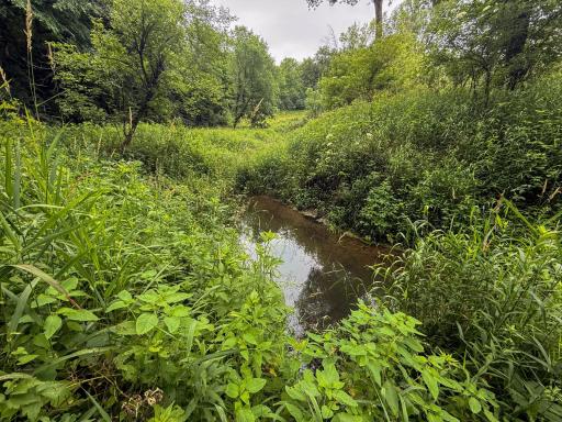 tbd 590th Street, Kellogg, MN 55964