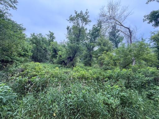 tbd 590th Street, Kellogg, MN 55964