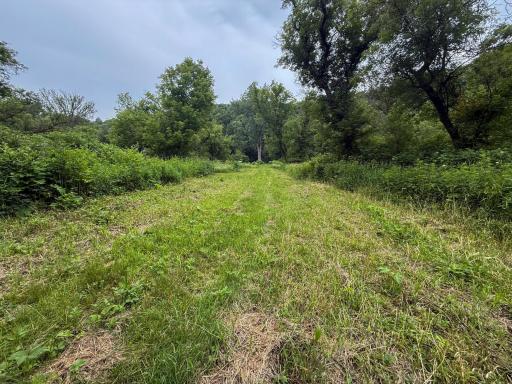 tbd 590th Street, Kellogg, MN 55964