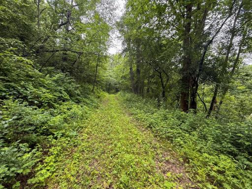 tbd 590th Street, Kellogg, MN 55964