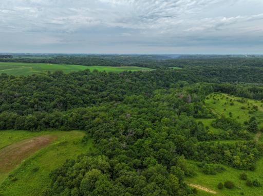tbd 590th Street, Kellogg, MN 55964