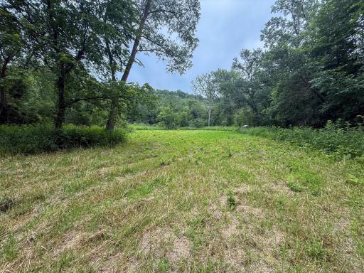 tbd 590th Street, Kellogg, MN 55964