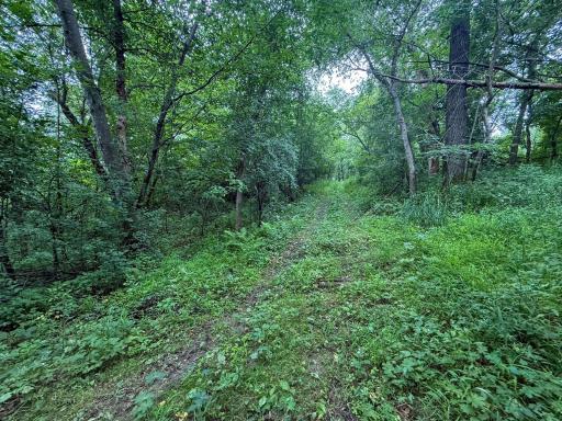 tbd 590th Street, Kellogg, MN 55964