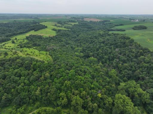 tbd 590th Street, Kellogg, MN 55964