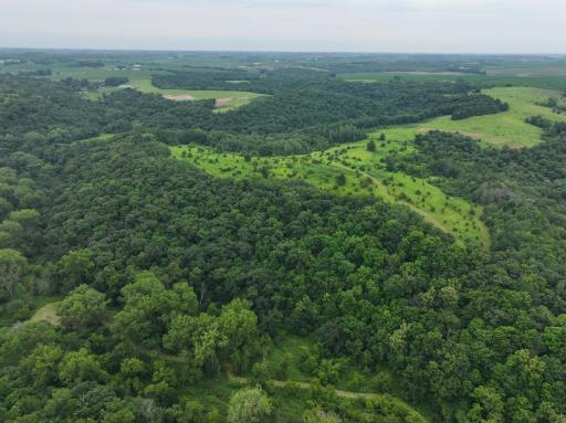 tbd 590th Street, Kellogg, MN 55964