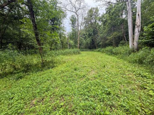 tbd 590th Street, Kellogg, MN 55964
