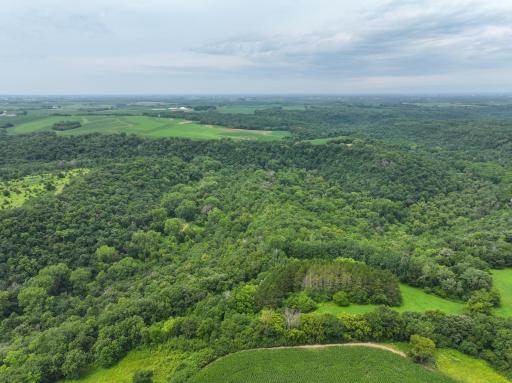 tbd 590th Street, Kellogg, MN 55964