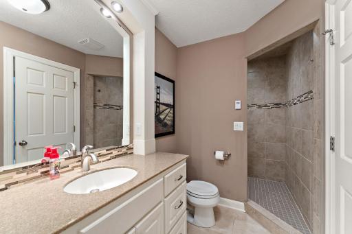 Basement bath view2
