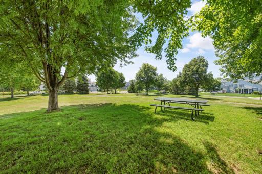 Green space with walking paths.