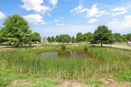 Green Space with pond.