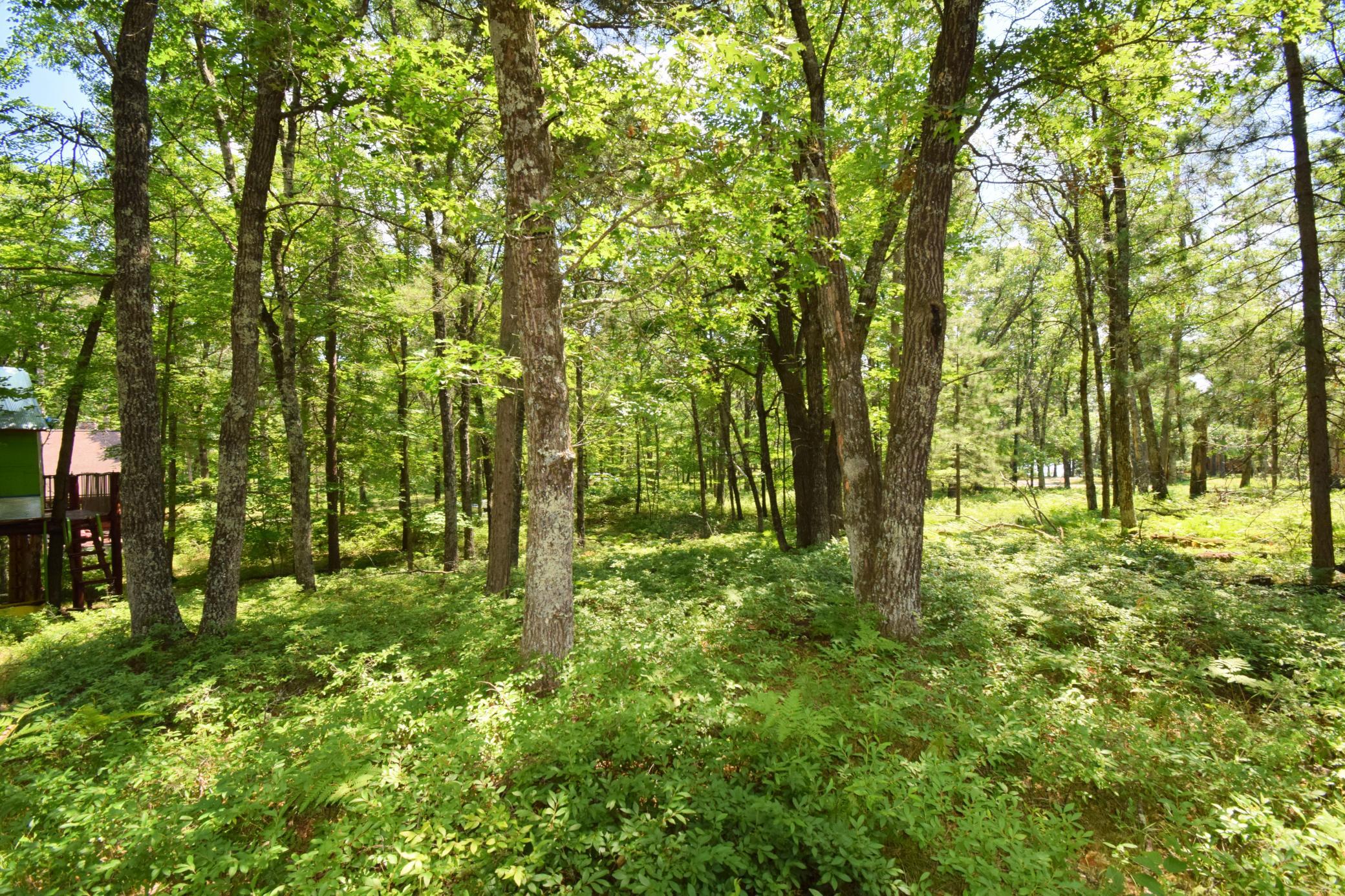 DSC_0329.JPG