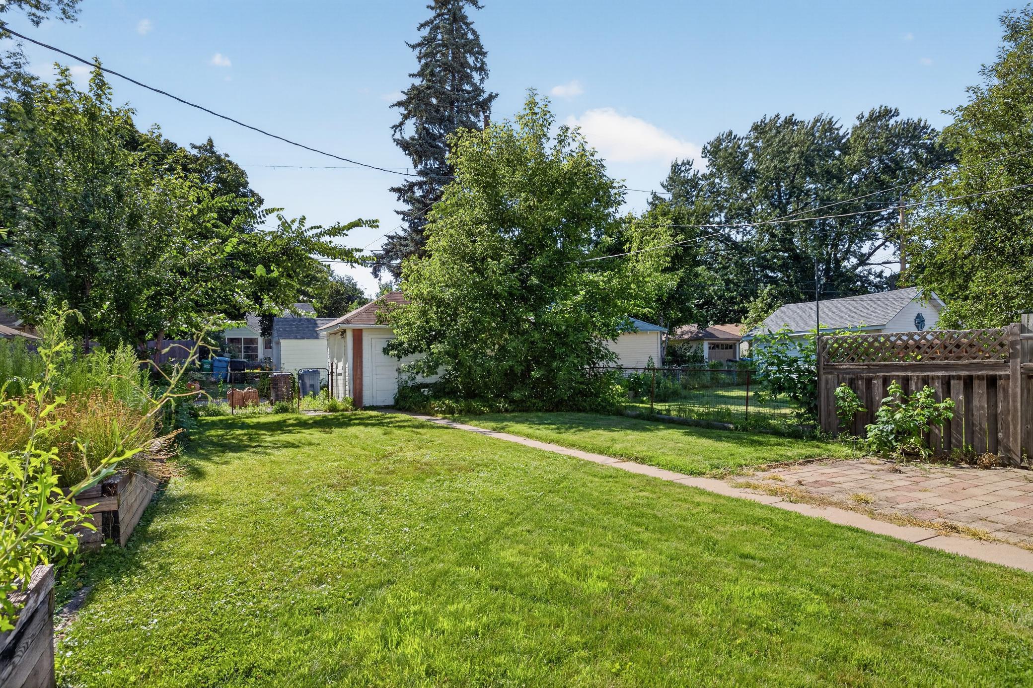 Back yard