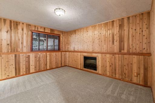 Lower level family room