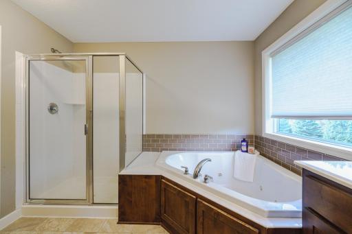 A large window lets in lots of natural light. The bathroom also has a private commode and a walk-in closet.
