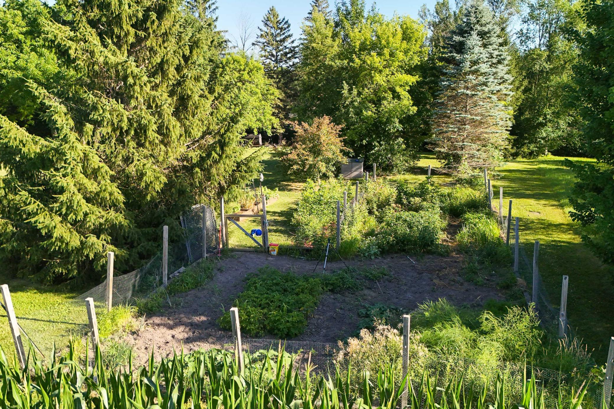 Photo 48