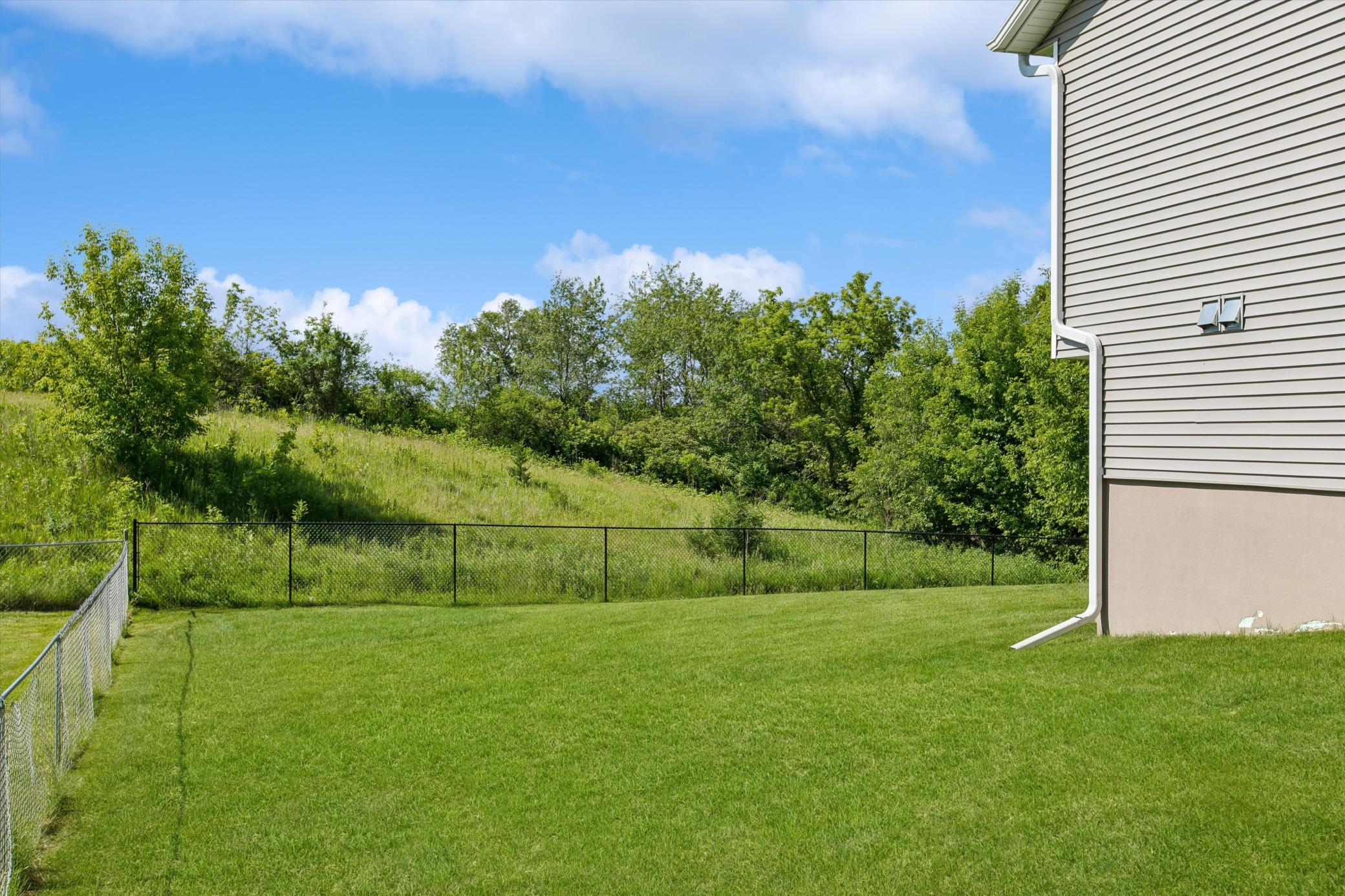 Nature-rich backyard