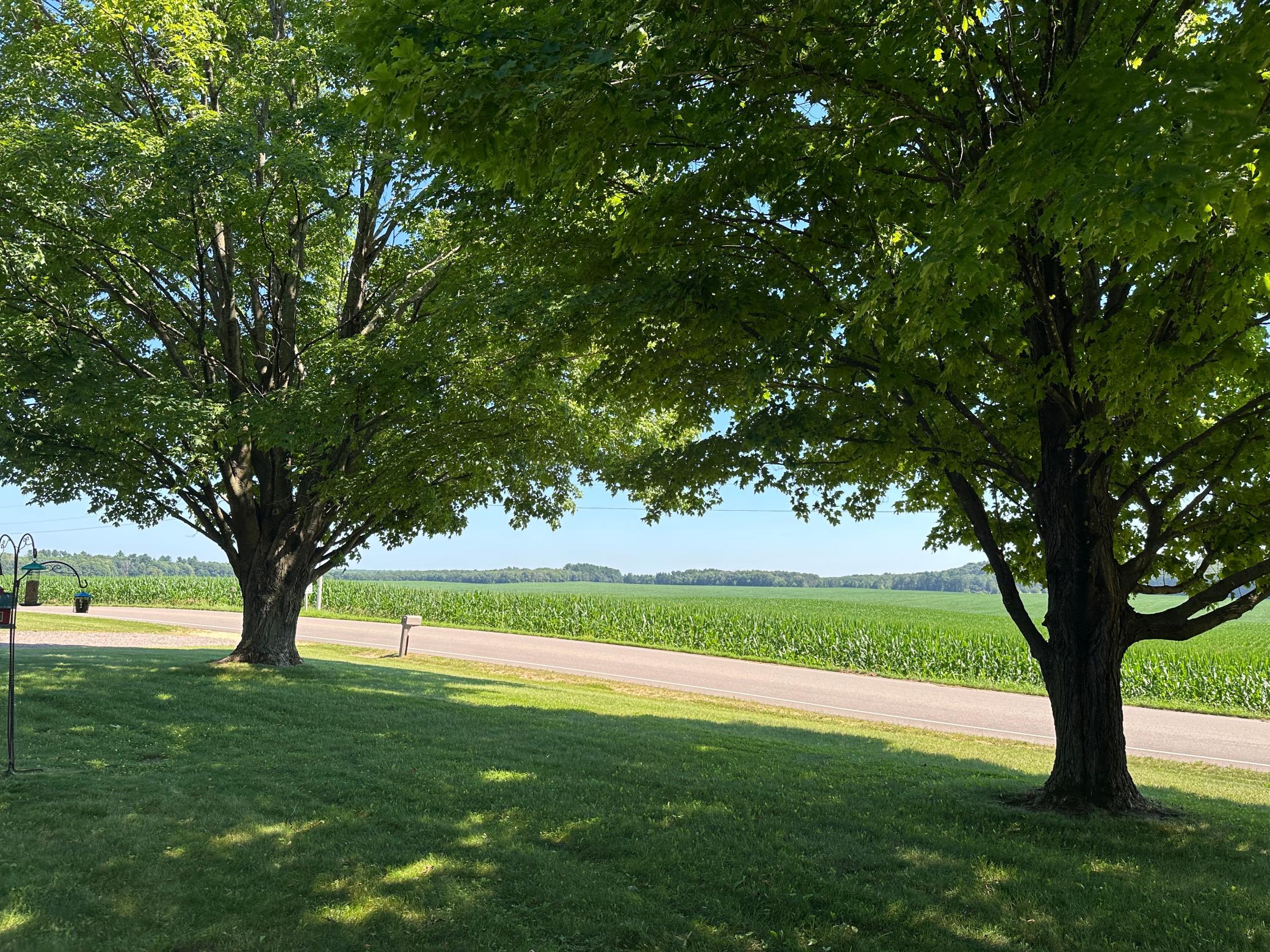 cedar rad country views.JPG