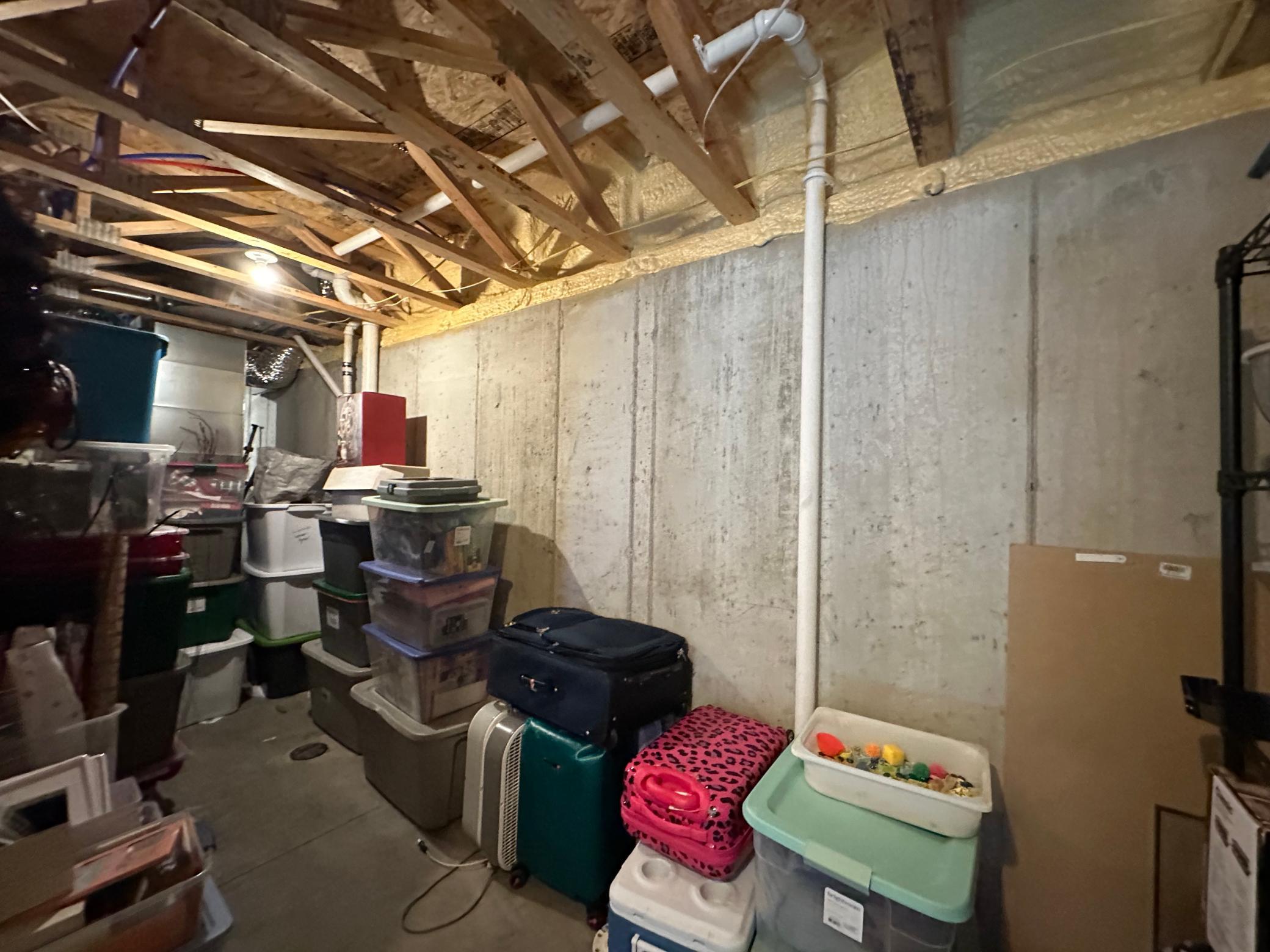 Unfinished Basement